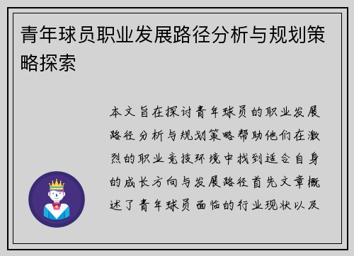 青年球员职业发展路径分析与规划策略探索